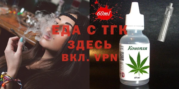 дмт Бородино