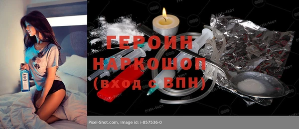 дмт Бородино